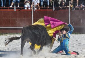 CORRIDAS DE TORO.jpg